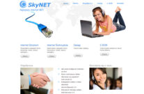 Strona internetowa SkyNet