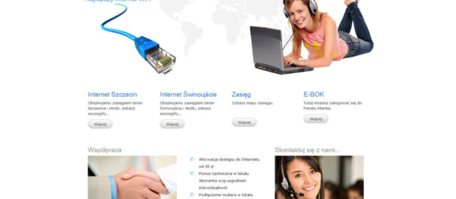 Strona internetowa SkyNet